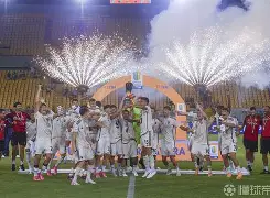 开元体育官方网站-夏洛特黄蜂迎意大利杯关键赛，赛后篮板制胜，媒体盛赞，团队化学反应显著(夏洛的网阅读理解题及答案)